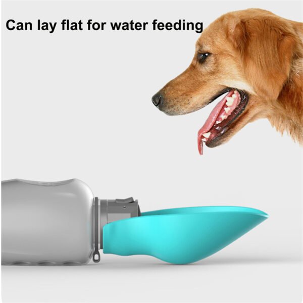 c4883ce8 7ba9 44a1 aa3a 3d1f9993dcfb.jpg c4883ce8 7ba9 44a1 aa3a 3d1f9993dcfb.jpg
